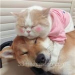 Avatar de Inés Cazares